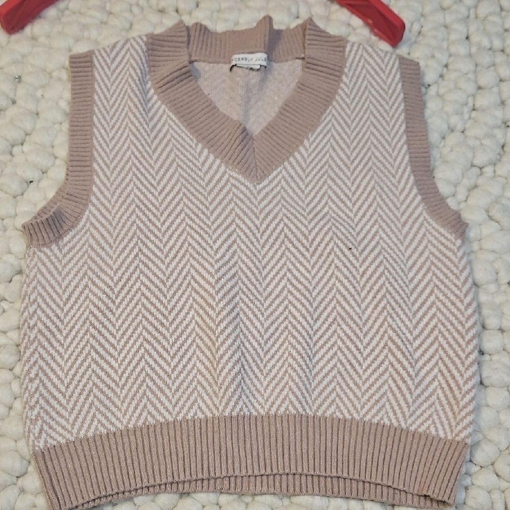 Sincerely Jules Taupe Chevron V-Neck Sweater Vest